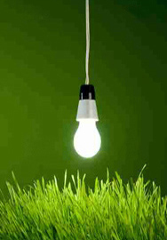 lampadina